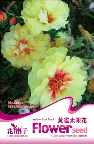 1 Original Pack, 100 seeds / pack, Yellow Portulaca Grandiflora Seeds Homegrown Moss Rose Sun Plant Flowers #A042