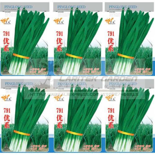 5 Original Packs, 15g / Pack, 791 Series Chinese Chives Seeds, Organic Green Allium Tuberosum Seeds, Free Shipping