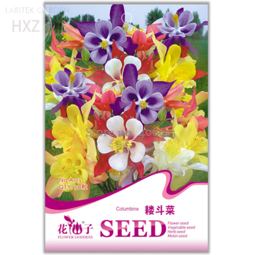 Beautiful Colorful Aquilegia Flowers Seeds, 50 seeds, attract butterflies light up your garden A113