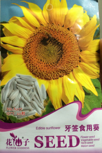 Heirloom Edible White Long Sunflower Seeds, Original Pack, 20 Seeds / Pack, Tasty Seeds Ornamental Flowers #A277