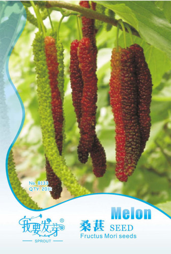 Original Pack, 20 Seeds / Pack, Black Mulberry Seeds Morus Nigra Tree Garden Bush Seed #NF477