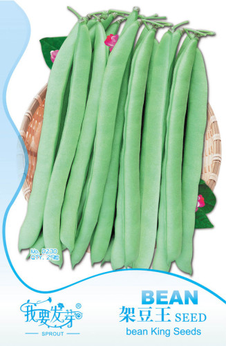 Green Kidney Bean Organic Vegetable Seeds, Original Pack, 25 Seeds / Pack, Tasty Non-gmo Heirloom  Seeds #TS012
