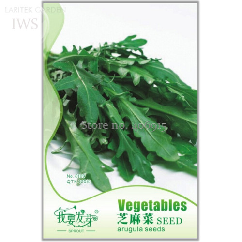 Arugula Plant Vegetable Seeds, Original Pack, 120 seeds, natural and healthy vegetable seeds IWSC109