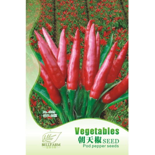 BELLFARM Red Hot Cayenne Pepper Seeds Bonsai, Original pack, 35pcs, healthy organic vegetables IWSC022
