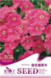 1 Original Pack, 60 seeds / pack, Pink Petunia Bright Color Rare Seed #A166