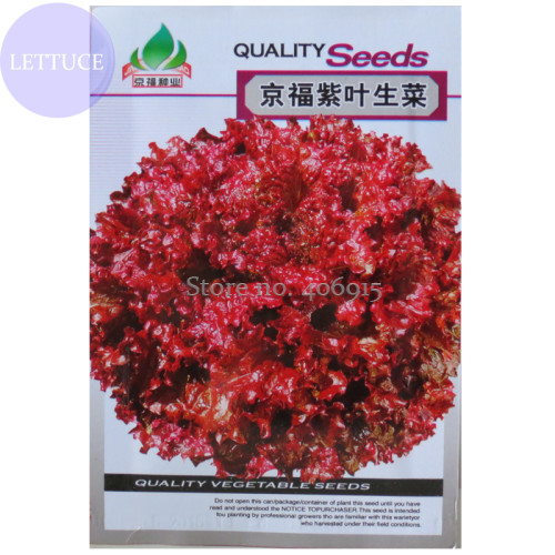 Peking Fu Purple Red Lettuce, Original Pack, 1000 Seeds, organic tasty salad vegetables lactuca