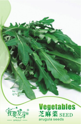 Eruca Salad Rocket Arugula Organic Vegetable Seeds, Original Pack, 120 Seeds / Pack, Rucola Colewort E329