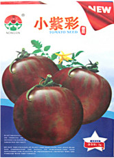 Coffee Dark Stripe F1 Tomato Seeds, 1 Original Pack, Approx 300 Seeds / Pack, RareTomato #NX043