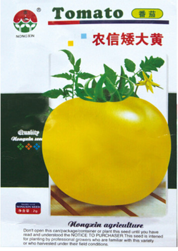 Dwarf Big Yellow Tomato 'Nong Xin' Organic Seeds, 1 Original Pack, 250 Seeds / Pack, Excellent Tomato #NF606