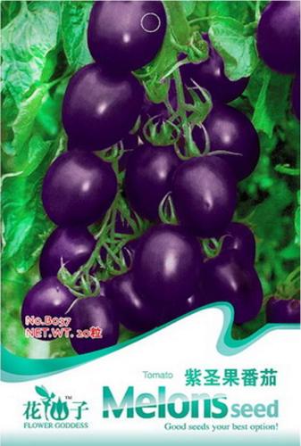 1 Original packs, 20 seeds / pack, Asian Purple / Blue Tomato, Organic Edible Tomato, Non-gmo seeds #B037