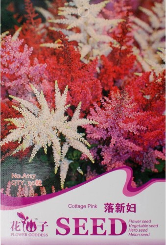 5 packs, 50 seeds / pack, Astilbe Chinensis seeds, Beautiful Chinese Astilbe Flowers, plus mysterious gift