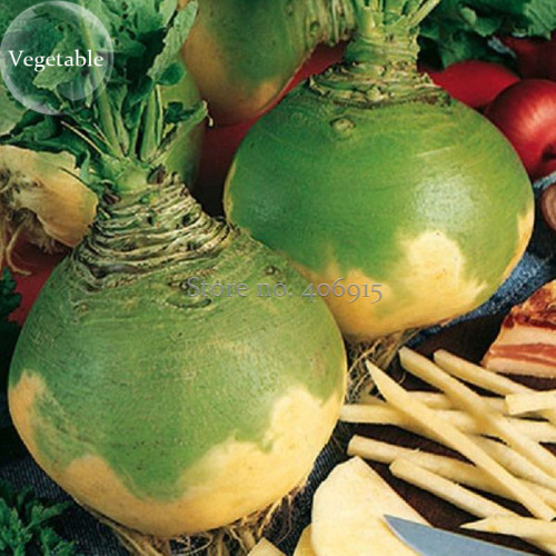Swede 'Wilhelmsburger' Rutabaga Green Top Vegetables, 200 seeds, heirloom organic vegetables E3887