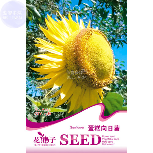 BELLFARM Sunflowers Cake Type Flower Seeds, 15 Seeds, Original pack, unique new golden cut flowers A303