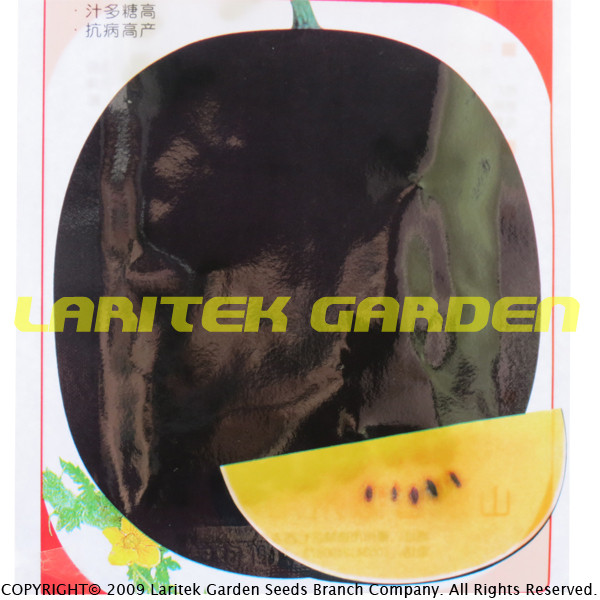 Big Super Black Skin Yellow Oval Sweet Organic Watermelon Seeds, Original Pack, 80 Seeds / Pack, 13% Sugar Juicy Edible Melon