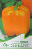 Heirloom Orange Bell Pepper Organic Seeds, Original Pack, 8 Seeds / Pack, Sweet Capsicum Vegetable Seeds C063