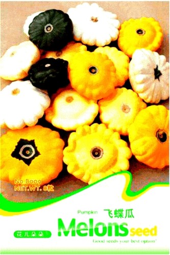 Mix Scalloped Patty Pan UFO Squash Seeds, Professional Pack, 8 Seeds / Pack, Heirloom Interest Vegetables B009