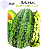 BELLFARM Colorful Ellipse Sweet Melon Seeds, 20 seeds, original pack, crisp fragrant high-yield muskmelon