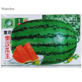 Continuous Cropping Long Red Big Watermelon, Original Pack, 30 Seeds, sweet tasty contained 13% sugar fruits OTHER401