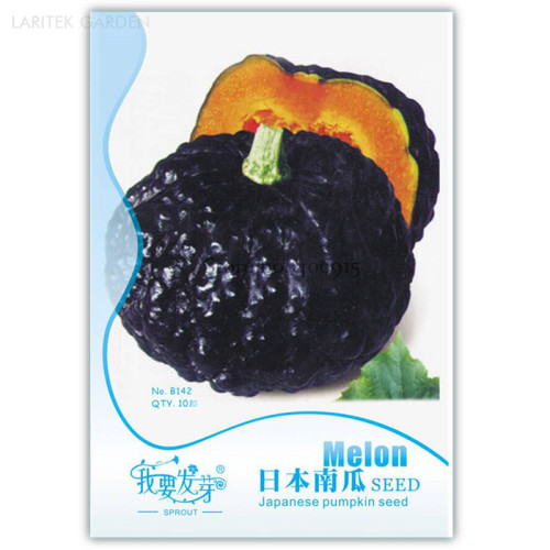 Heirloom Japanese Black Pumpkin Vegetables, Original Pack, 10 Seeds, nutritive edible garden squash fruit IWSB142
