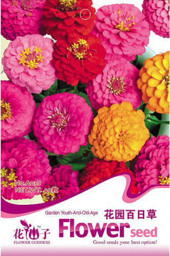 1 Original Pack, 40 seeds Mix Garden Youth-And-Old-Age Common Zinnia #A038