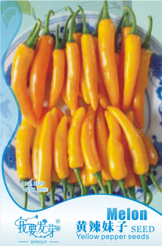 Anhui Yelow Hot  Pickled Chili Pepper Organic Seeds, Original Pack, 20 Seeds / Pack, Great Tasty Sichuan Vegetables E3105