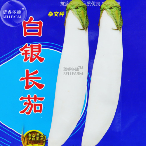 BELLFARM Eggplant Seeds Heirloom Moon White Long Hybrid Vegetables, 700 Seeds, Original Pack, great Chinese vegetables ONX108Y