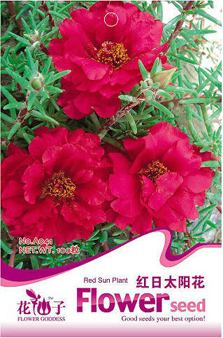 1 Original Pack, 100 seeds / pack, Red Portulaca Grandiflora Seeds Homegrown Moss Rose Sun Plant Flowers #A041