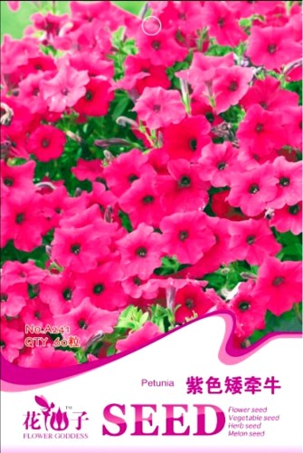 Middle-sized Rose Red Garden Petunia Annual Flower Seeds, Original Pack, 60 Seeds / Pack, Beautiful Bonsai Flower A241