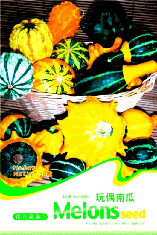 Mixed Doll Pumpkin Ornamental Vegetables Edible Seeds, Original Pack, 10 Seeds / Pack B011