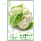 White Cauliflower Vegetable Bonsai Seeds, Original Pack, 60 seeds, pot plant home garden organic vegetables IWSC011