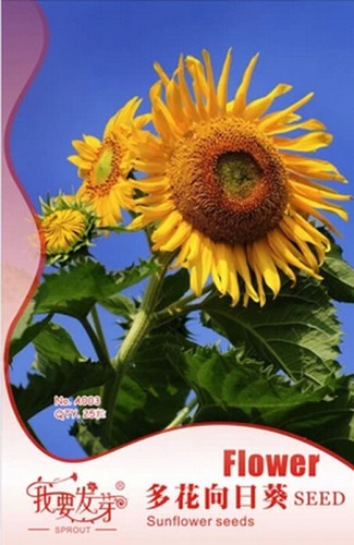 Original Pack, 25 Seeds / Pack, Ornamental Sunflower Seed Garden Flower High Germination #A00288