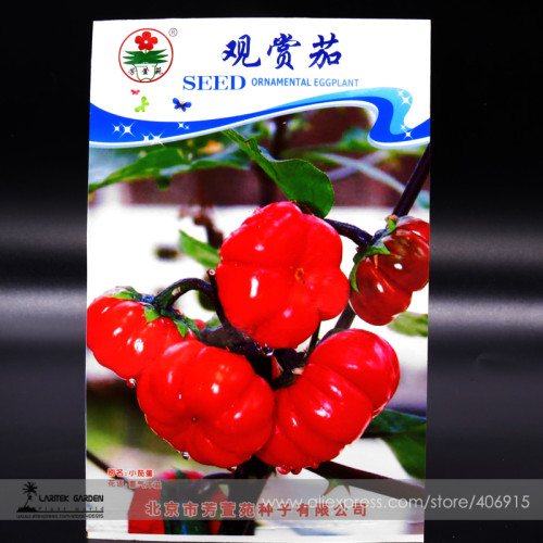 Solnum hybrida Red Ornamental Eggplant Seeds, Original Pack, 30 Seeds / Pack, Easy to Grow E3428