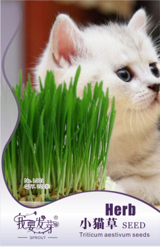 1 Original Pack, 220 Seeds / Pack, Cat Grass Seed, Animal Green Food #NF536