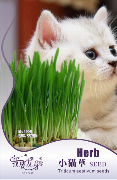 1 Original Pack, 220 Seeds / Pack, Cat Grass Seed, Animal Green Food #NF536