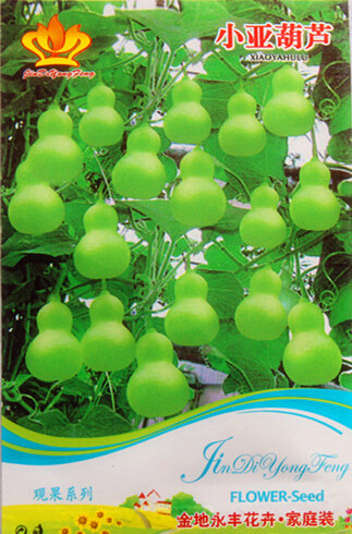 1 Original Pack, 6 Seeds / Pack, Lagenaria Siceraria Small Bottle Groud Seed Ornamental Fruit Opo Squash Edible Vegetable #NF372