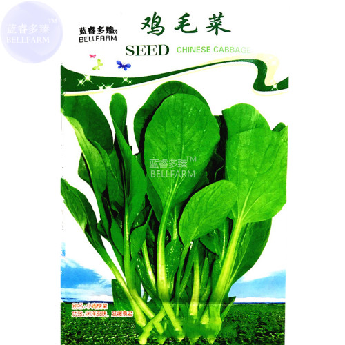 BELLFARM Pterocladia tenuis Chinese Little Greens Vegetable Seeds, 500 seeds, original pack, organic Chinese vegetables