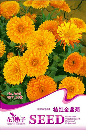 Calendula Orange Pot Marigold Flower Seeds, Original Pack, 30 Seeds / Pack, Annual Garden Seeds A198