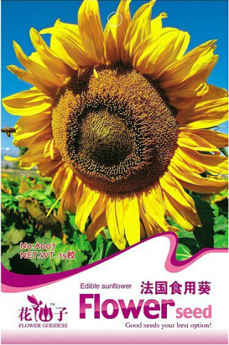 1 Original Pack, 15 seeds / pack, Edible Sunflower Seeds Polly Seeds #A007