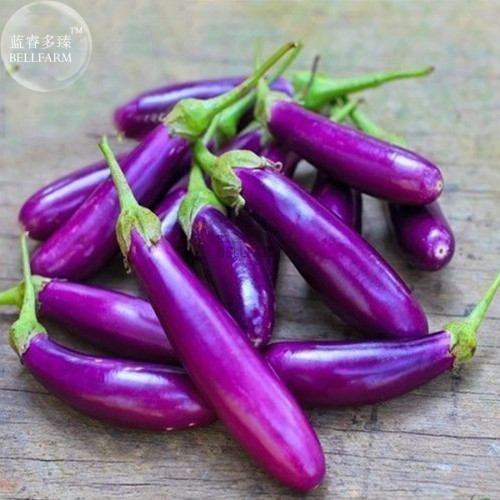 BELLFARM Eggplant Bright Purple Long Vegetables Seeds, 100 seeds, professional pack,organic heirloom easy-slicing