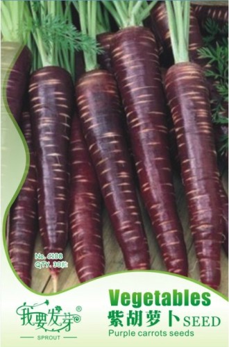 1 Original Pack, 30 seeds / pack, AFGHAN Purple (Black) Carrot Superfood Amazing Colorful High Yield #NF052