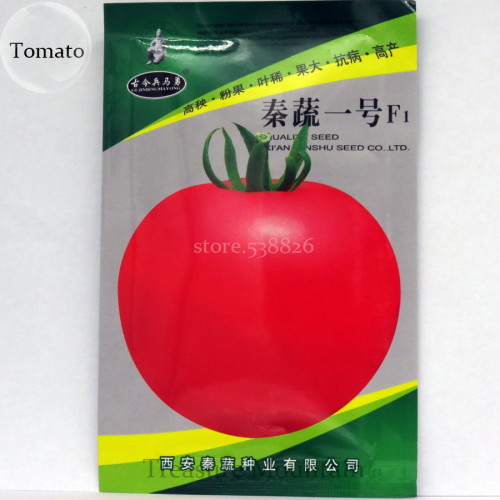 (for Greenhouse) Qinshu No.1 F1 Pink Big Tomato Seeds, 10 grams Original Pack, high yield disease-resistant OQS001Y