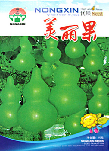 Bright Green Ornamental Bottle Gourd Organic Seeds, 1 Original Pack, 10 Seeds / Pack, Very Interesting Toy Gourd #NF615