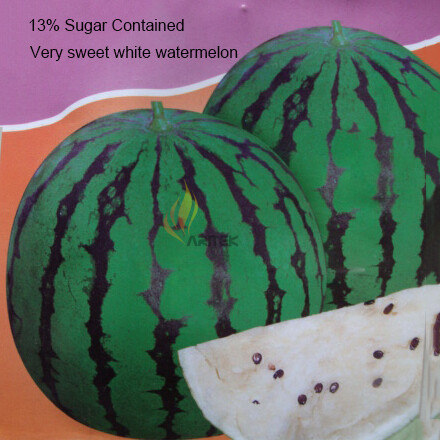 Rare Very Sweet Green Skin White Watermelon Organic Seeds, Professional Pack, 20 Seeds / Pack, Edible Juicy Melon Fruit E3016
