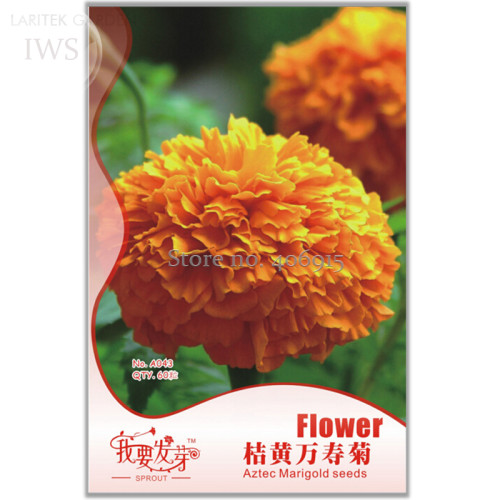 Flowers Aztec Marigold Seeds, Original Pack, 60 seeds, high ornamental value flower seeds IWSA043