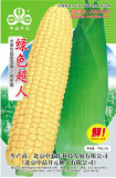 1 Original Pack, 100g Seeds / Pack, Yellow Sweet Corn Seeds, Heirloom Organic Chullpi Corn Can be Eaten Raw Fruit Corn