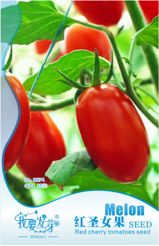 Rare Auhui Bright Red Cherry Tomato Organic Seeds, Original Pack, 35 Seeds / Pack, Very Sweet Fruit E3056