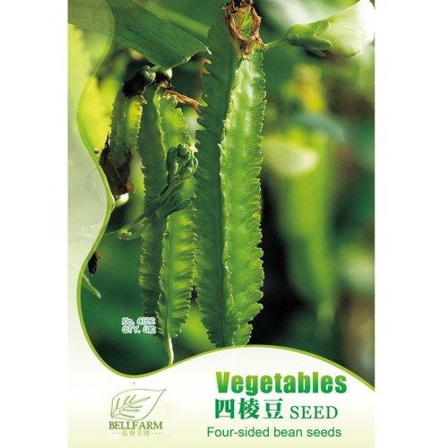 BELLFARM Winged Bean Perennial Rare Pea Health Vegetable Bonsai, Original Pack, 4 seeds, organic vegetables nutrition IWSC142