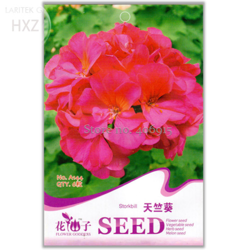 Red Univalve Geranium Seeds Perennial Flower Seeds, original package, 6 seeds, attract butterflies light up your garden A144
