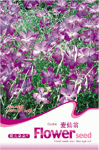 1 Original Pack, 20 seeds / pack, Purple CORN COCKLES Seeds Agrostemma githago Milas Rose #A053