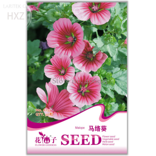 Beautiful Malope Trifida Flower Seeds, 30 seeds, beautiful ornamental flowers light up your garden A133